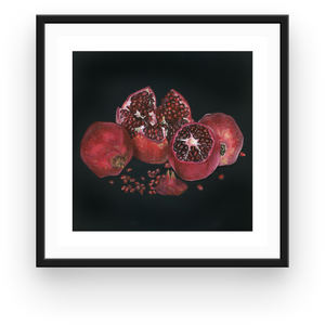 fine art print of pomegranate painting on black canvas by armenian painter donating proceeds to armenia artsakh
